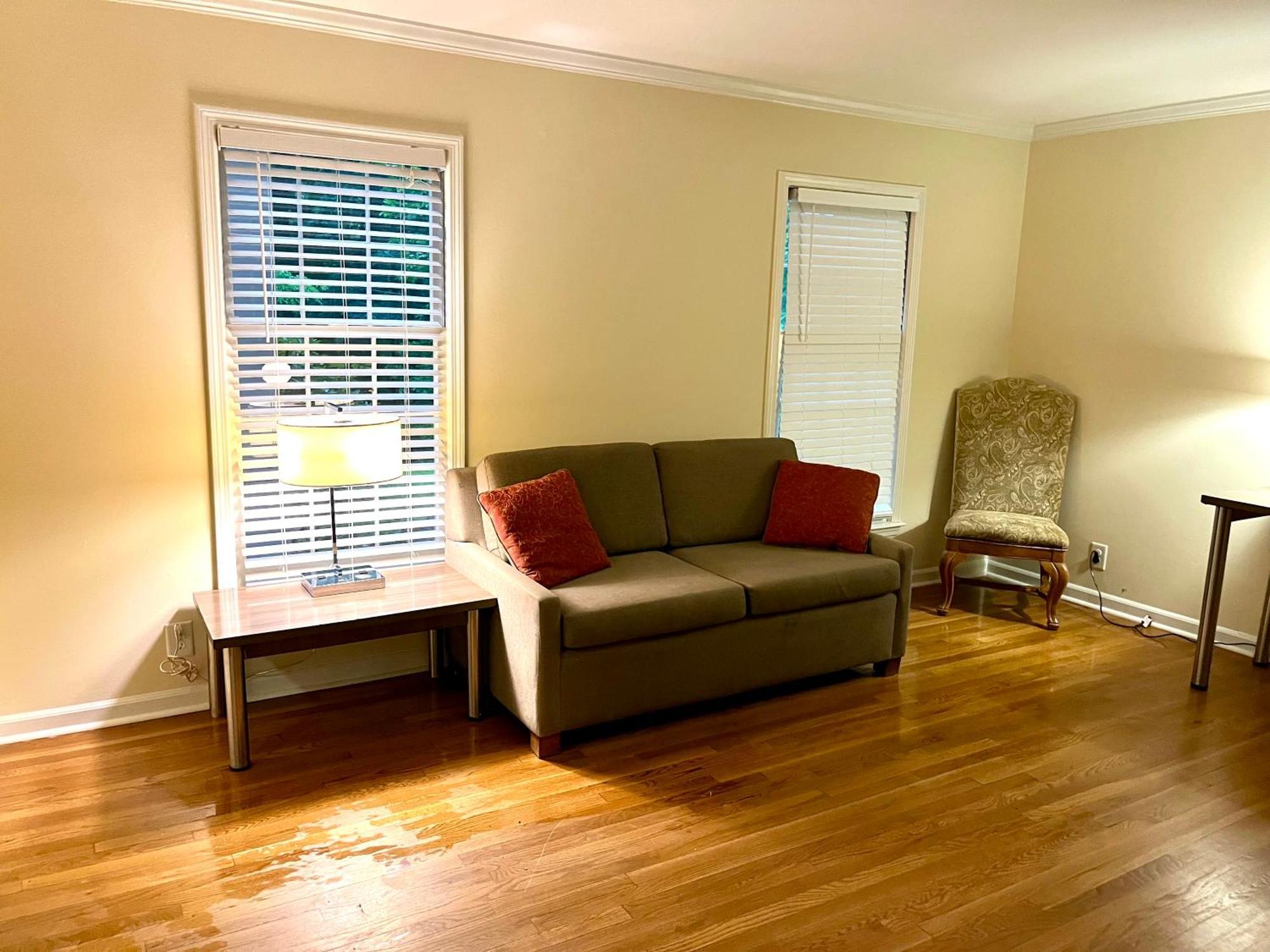 Cozy Sandy Springs In Apartment *