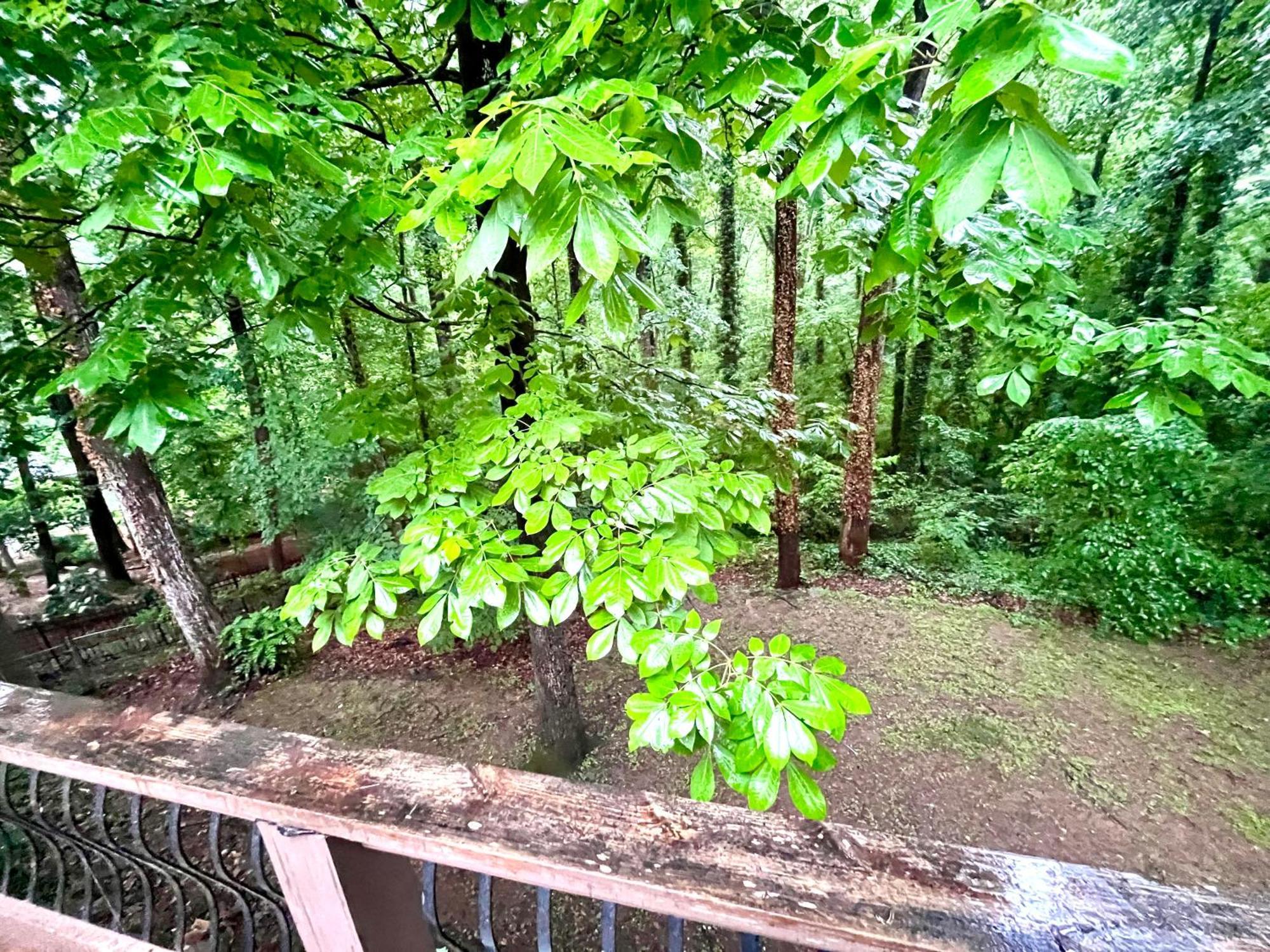 Apartment Cozy Sandy Springs In