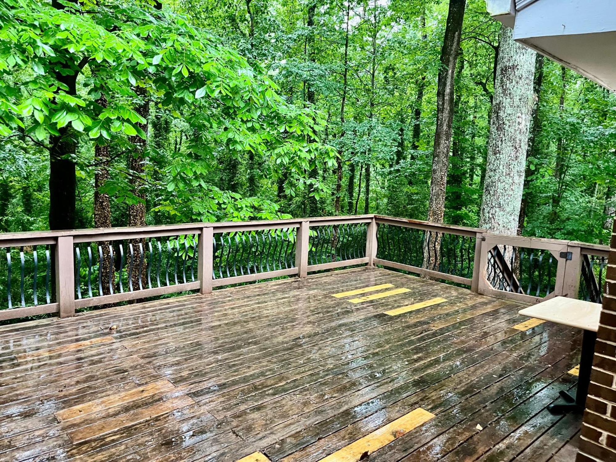 Cozy Sandy Springs In Apartment *